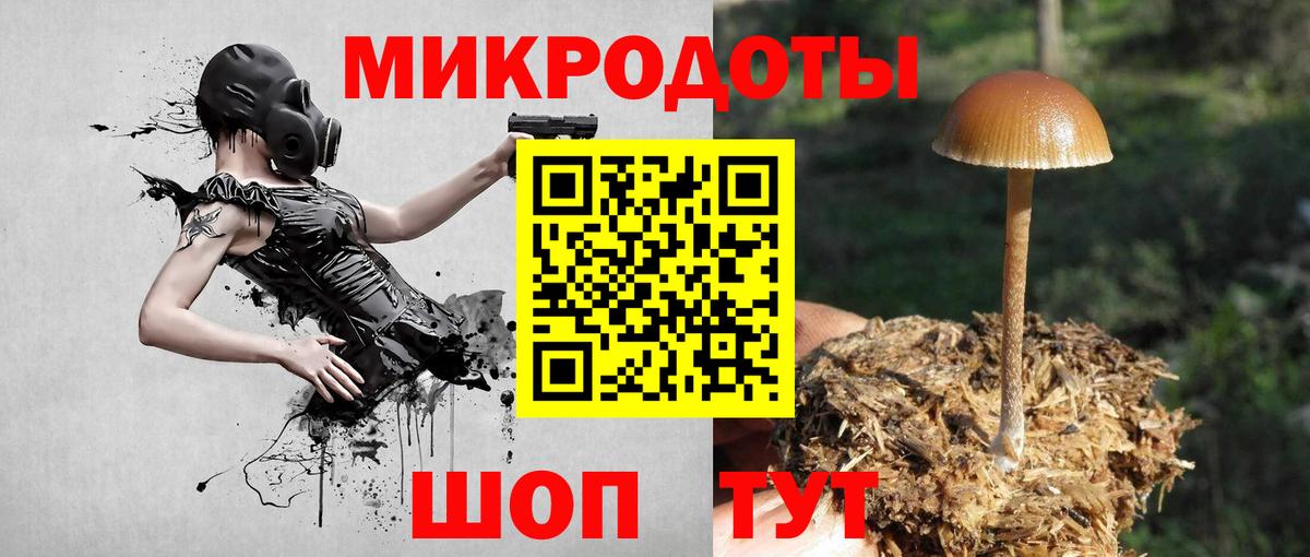 Псилоцибиновые грибы мицелий Воткинск